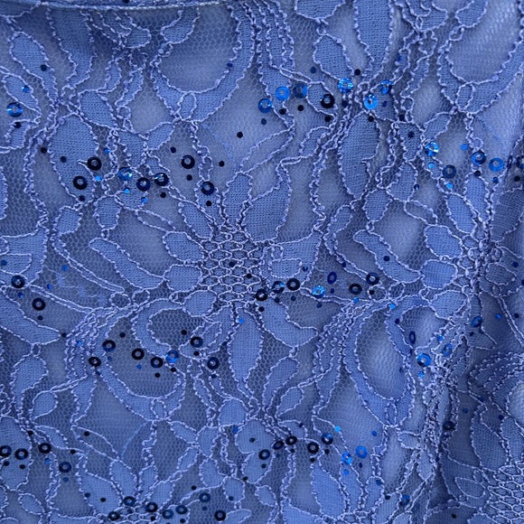 Scarlett Periwinkle Blue Lace Sleeveless Dress with Sequins Size 6 - Picture 3 of 13